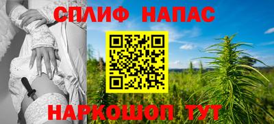 крисы Бузулук