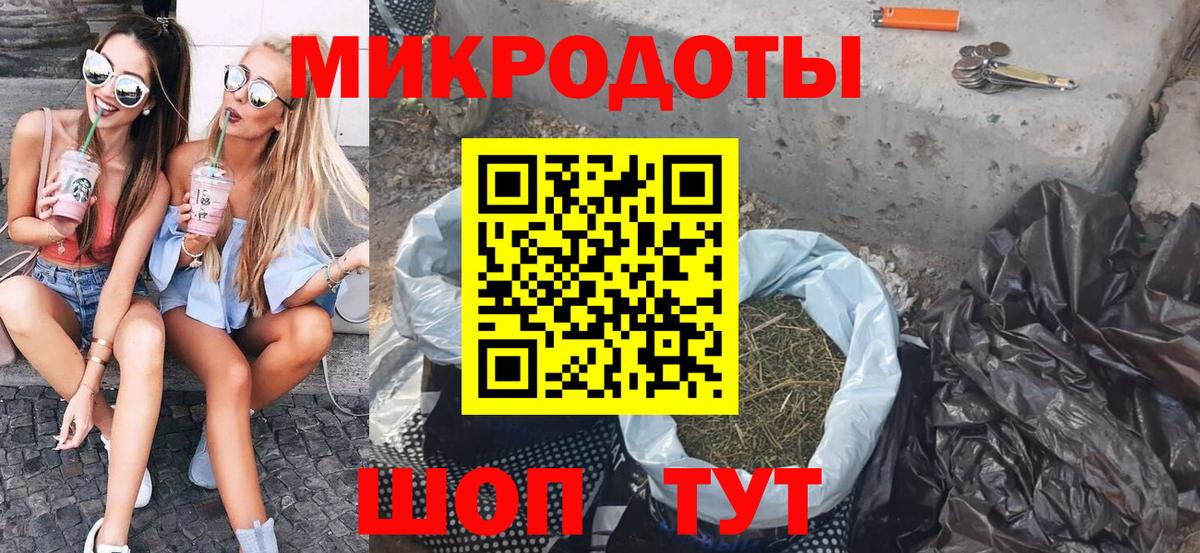 Псилоцибиновые грибы Psilocybine cubensis Тверь