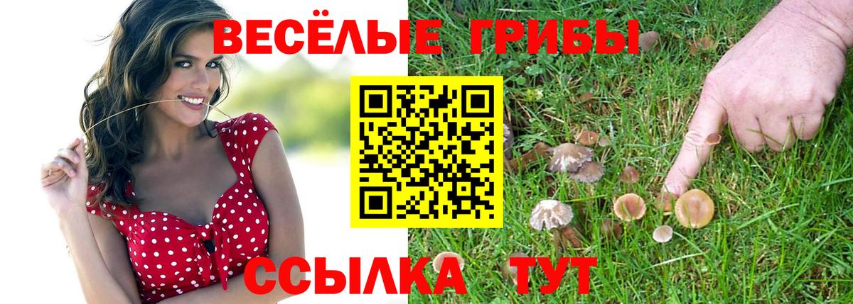 Тверь  Псилоцибиновые грибы Cubensis  Вход с VPN 